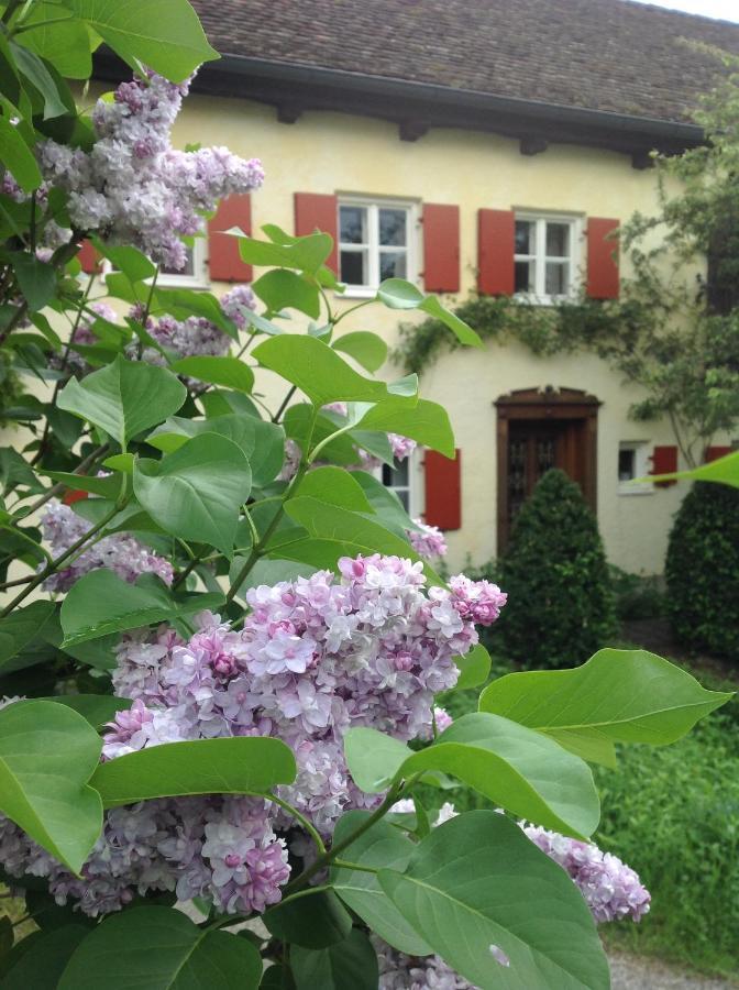 Haus Probst Am See Bed & Breakfast Schondorf am Ammersee Eksteriør bilde