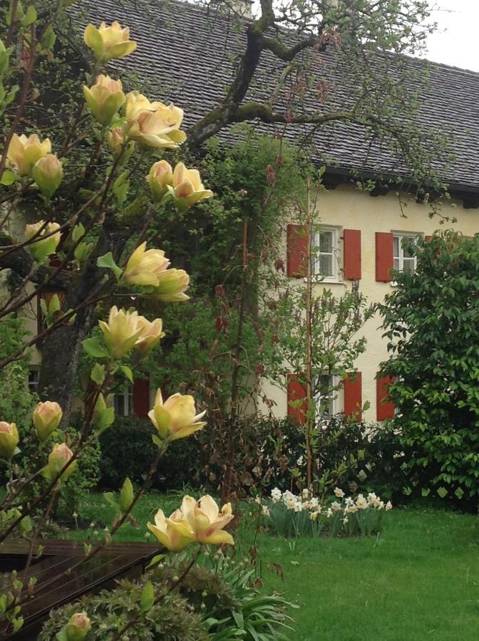 Haus Probst Am See Bed & Breakfast Schondorf am Ammersee Eksteriør bilde
