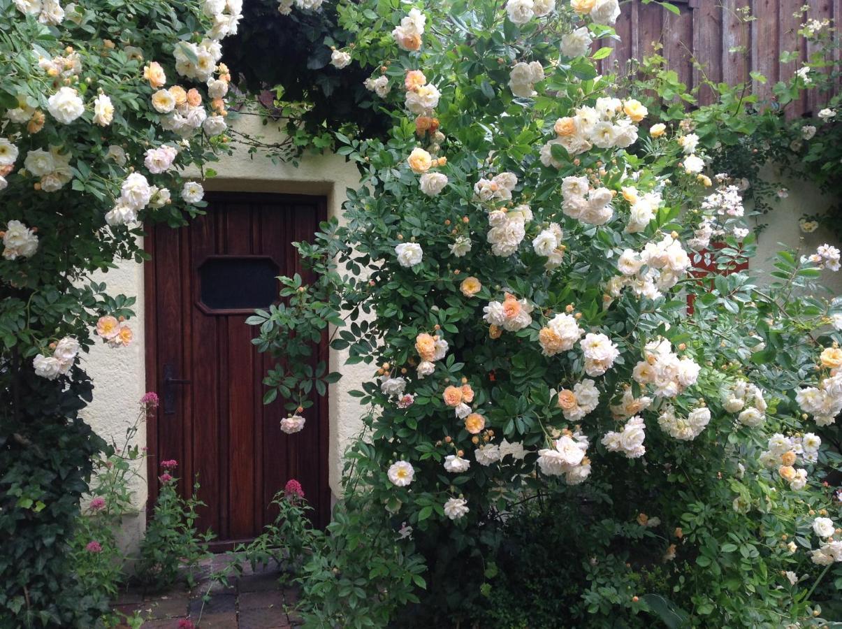Haus Probst Am See Bed & Breakfast Schondorf am Ammersee Eksteriør bilde